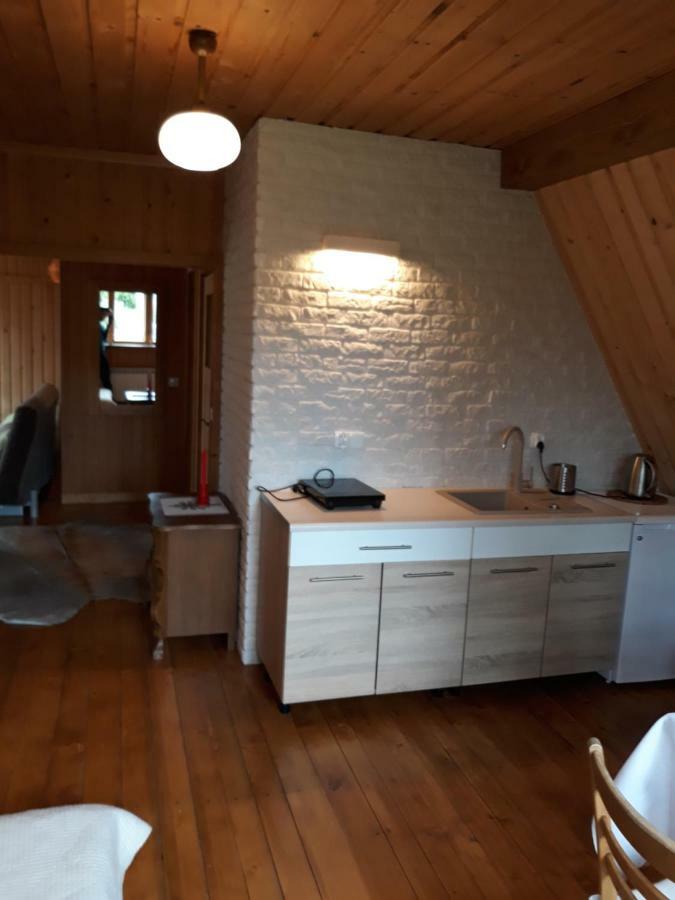 Appartement Willa Sichla Murzasichle Extérieur photo