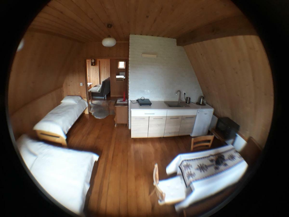 Appartement Willa Sichla Murzasichle Extérieur photo