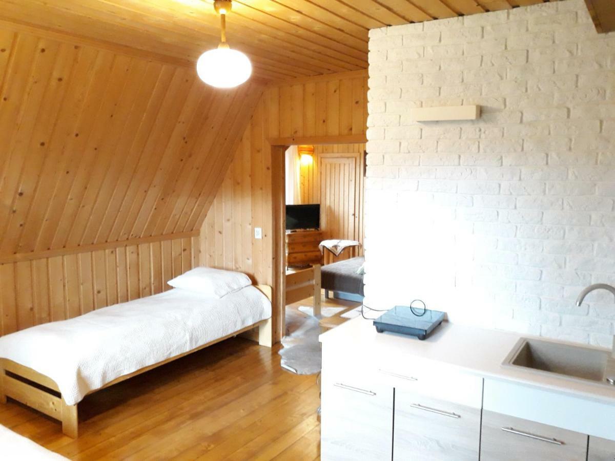 Appartement Willa Sichla Murzasichle Extérieur photo