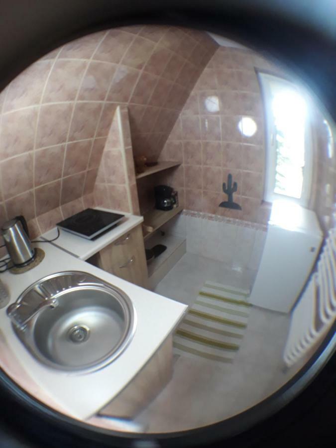 Appartement Willa Sichla Murzasichle Extérieur photo